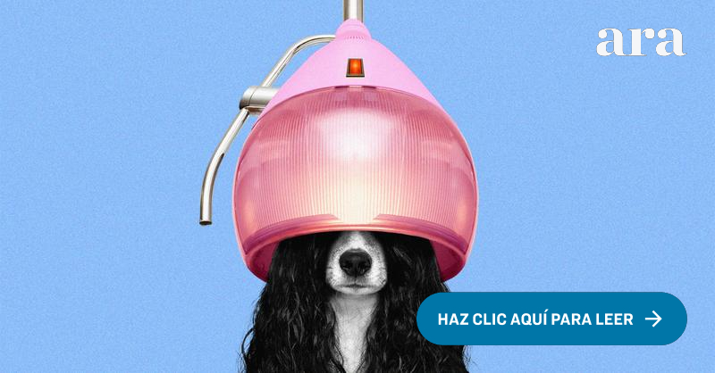 cuanto factura una peluquería canina