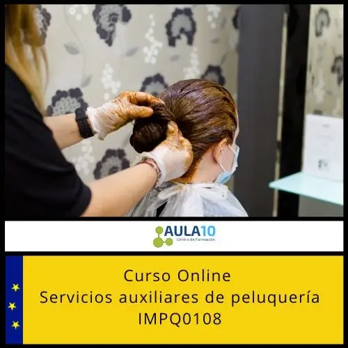 servicios auxiliares de peluquería
