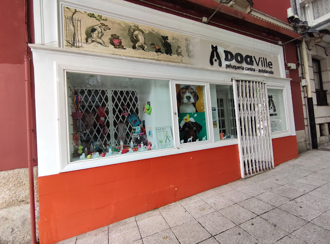 bonnie and clyde peluquería canina