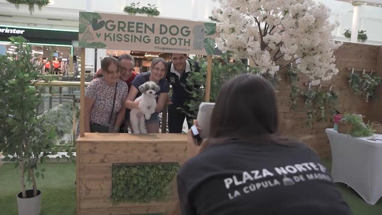 peluquería canina plaza vieja