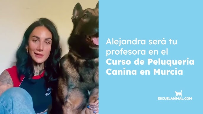 curso de peluquería de señora sevilla