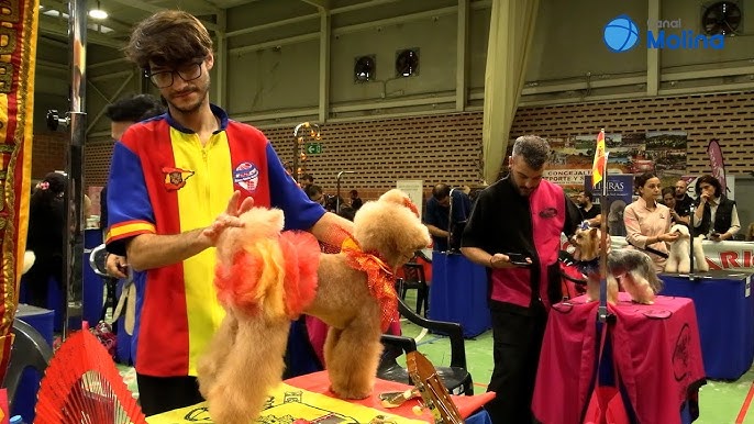 peluquería canina molina de segura