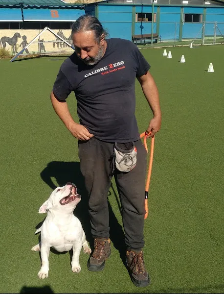 animalikos peluquería canina guarderia alimentación y accesorios para mascotas
