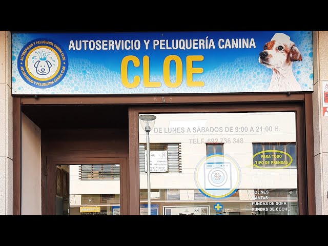 autoservicio y peluquería canina cloe