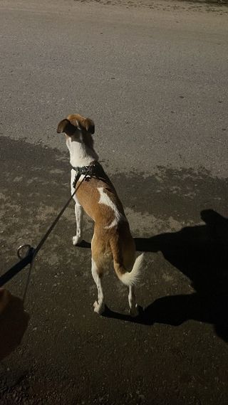 peluquería en alcalá de henares