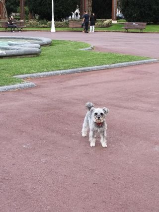peluquería medina del campo