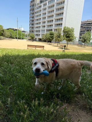 peluquería en el escorial