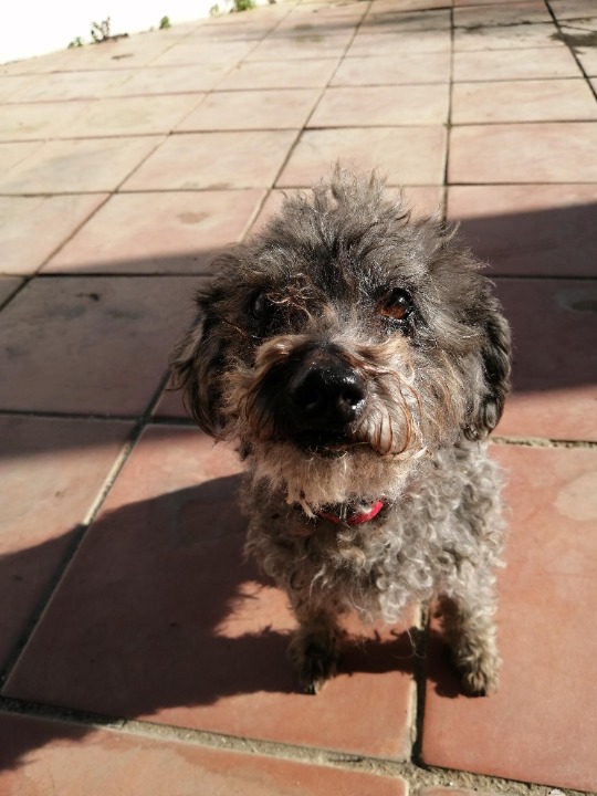 peluquería valverde del camino